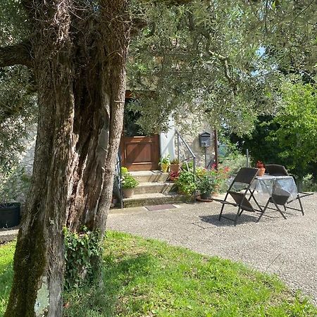 La Casetta Di Vacone Exteriér fotografie