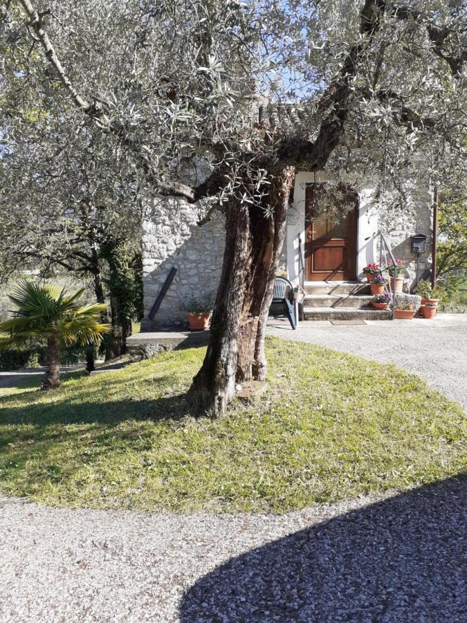 La Casetta Di Vacone Exteriér fotografie