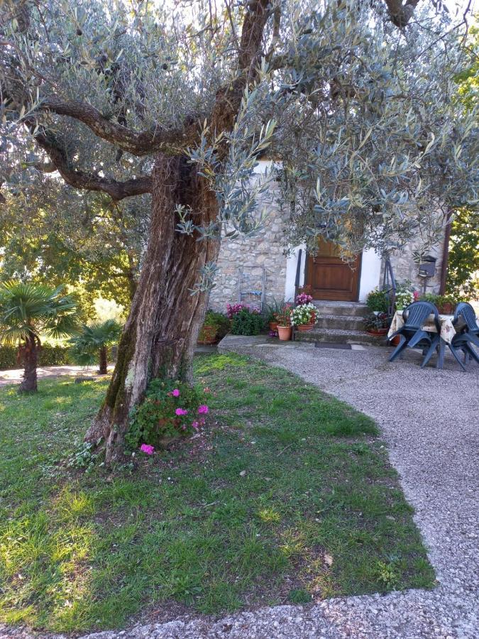 La Casetta Di Vacone Exteriér fotografie