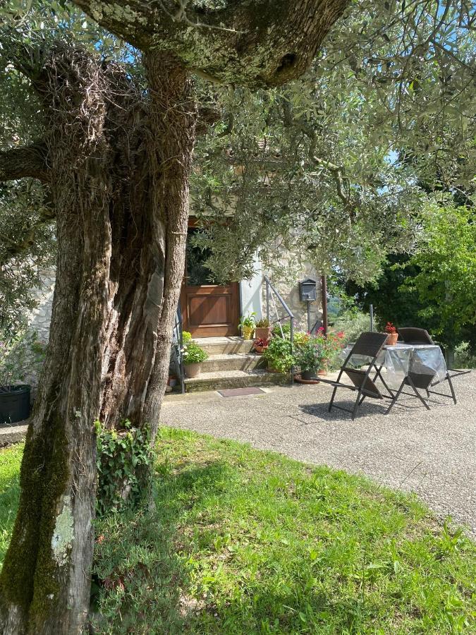 La Casetta Di Vacone Exteriér fotografie
